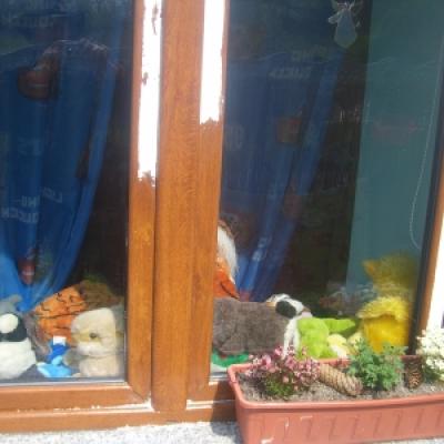 Odstranjena Folija S Pvc Oken