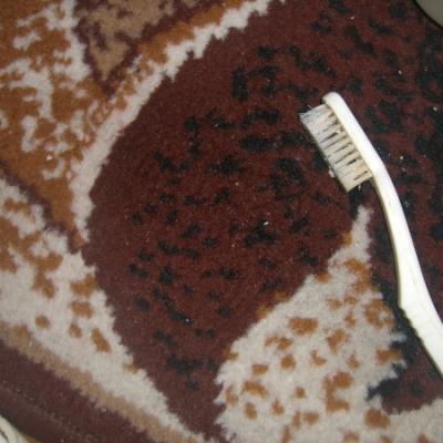 Čiščenje žvečilnega gumija s preproge